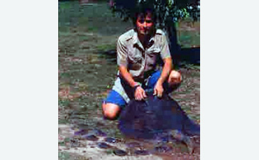 Record photograph for Potamotrygon orbignyi